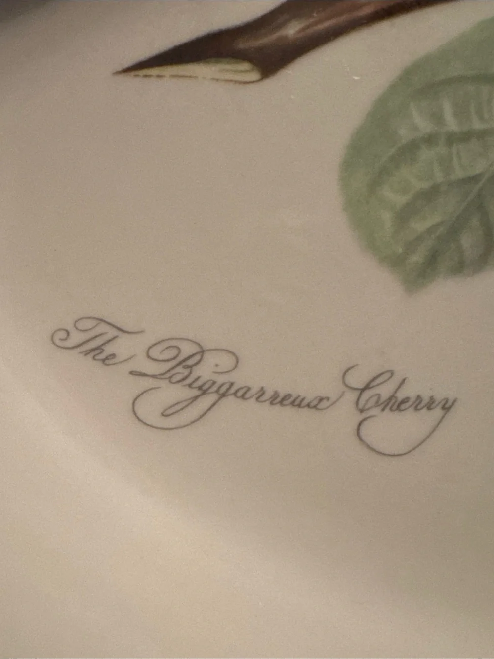 Portmeirion Pomona The Biggereaux Cherry 11.5